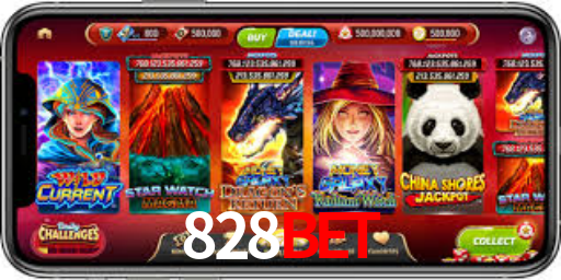 Interface Premium 828bet